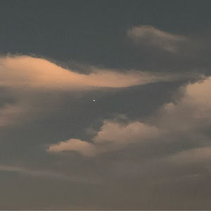 Meet your Posher, Rosely